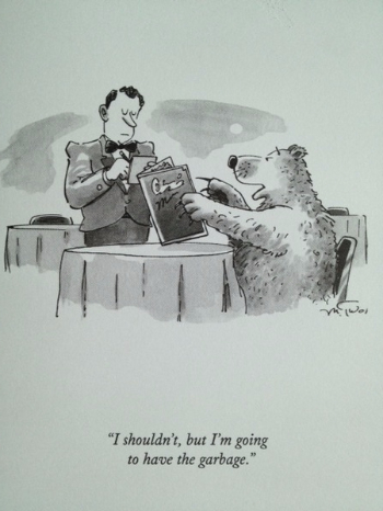 Bear Bear